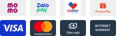 Thanh toán visa